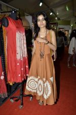 at Sahchari foundations Design One exhibition in Mumbai on 7th March 2013 (42).JPG